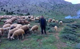 Aydın İş ve İşçi Bulma Kurumu Müdürü Rahmi Terzi, Tatilde Çobanlık Yapıyor