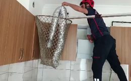 Bacada sıkışan güvercini itfaiye kurtardı