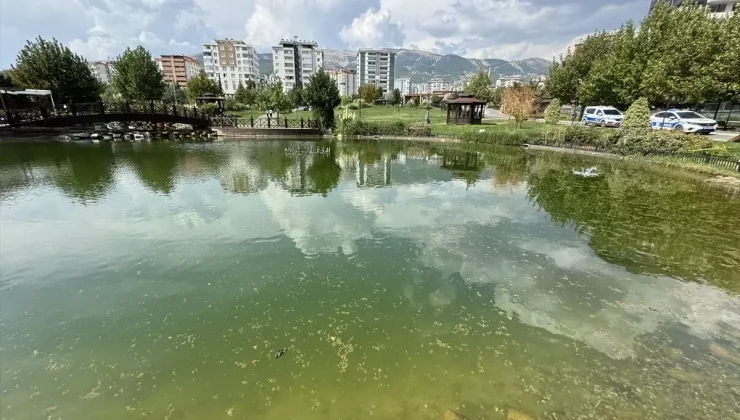 5 Yaşındaki Çocuk Hayatını Kaybetti