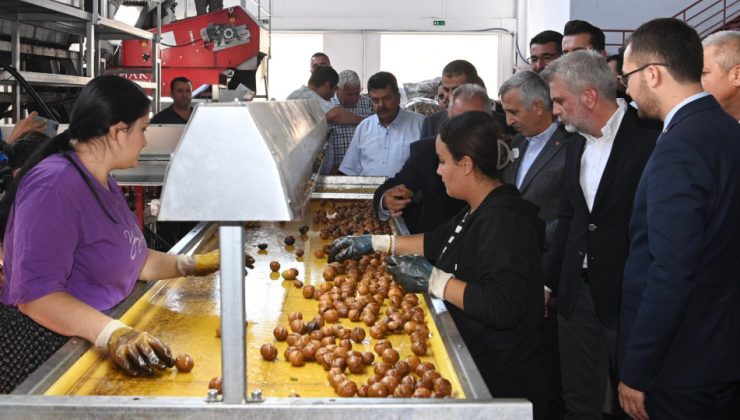 Başkan Görgel: “Çağlayancerit Cevizi Gibi Şehrimizin Tüm Değerlerine Sahip Çıkıyoruz”