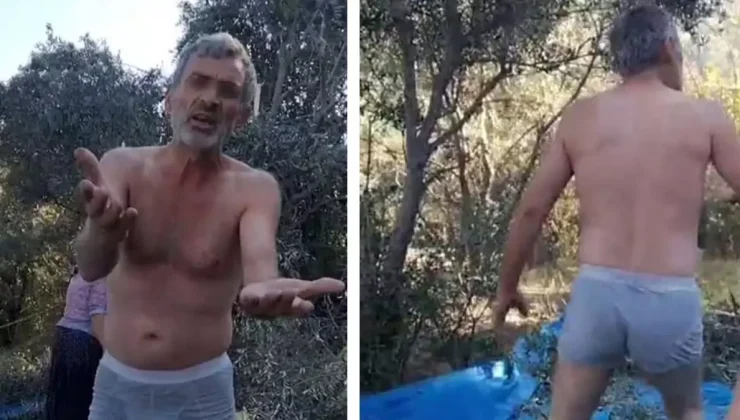 Zeytin bahçesinde tartışma çıkınca soyunarak saldırdı