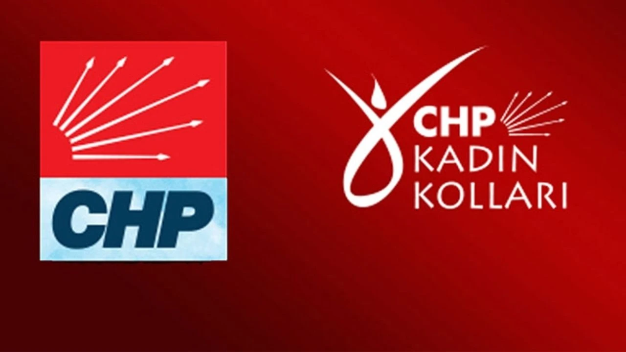 Cumhuriyet Halk Partisi Kadın Kolları ‘25 Kasım Kadına Yönelik Şiddetle Uluslararası Mücadele Günü’ Basın Açıklaması