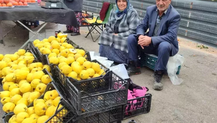Ayvalar ile Geçim Sağlıyorlar