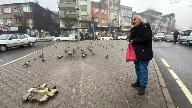 Esnafın Güvercin Sevgisi