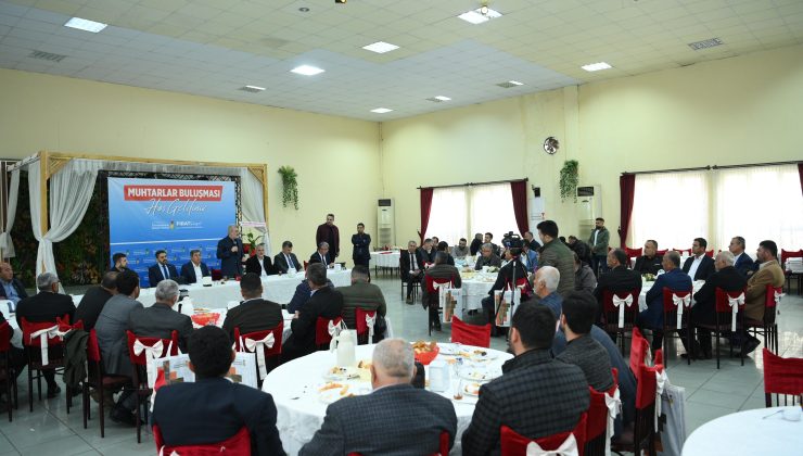 7 Ayda Türkoğlu’na 300 Milyonluk Yatırım