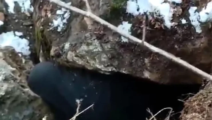 Define Ararken Kayanın Altında Cansız Beden Bulundu