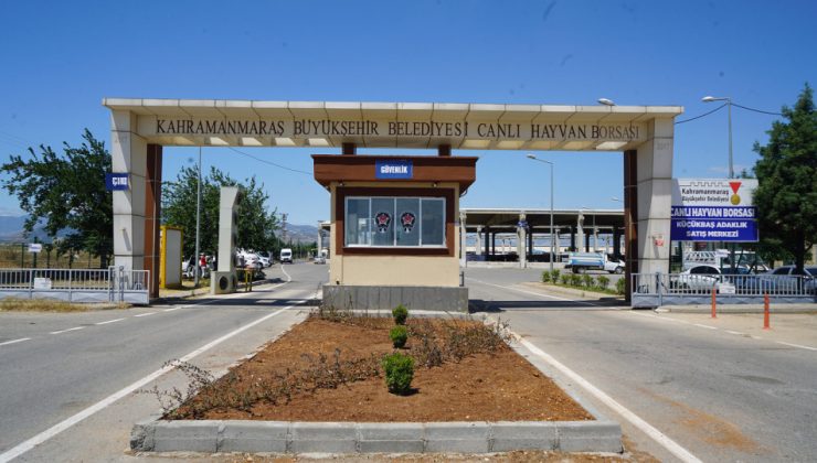 Hayvan Borsası’nda Hazırlıklar Tamamlandı