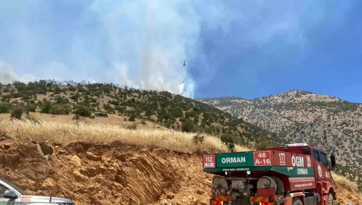 Orman Yangını Çıktı