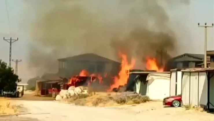 Samanlık Yangını Korkuttu