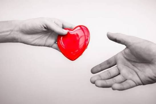 Organ Bağışı Artık e-Devlet ve e-Nabız Üzerinden Yapılabiliyor