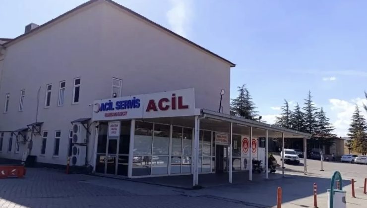 Afşin’de Arı Sokması Nedeniyle 9 Yaşındaki Kız Hayatını Kaybetti