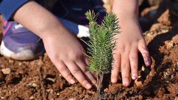 AK Parti Kahramanmaraş Teşkilatı, “Geleceğe Nefes İnsanlığa Nefes” Diyerek Fidanları Toprakla Buluşturdu