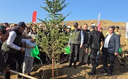 Onikişubat’ta Yangın Bölgesinde Fidan Dikim Seferberliği