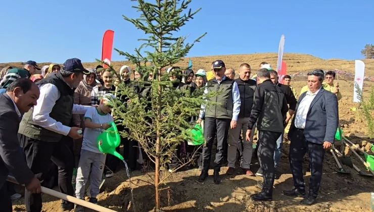Onikişubat’ta Yangın Bölgesinde Fidan Dikim Seferberliği