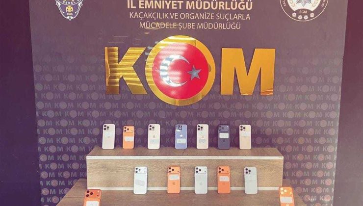 Kahramanmaraş’ta Narkotik ve Kaçakçılık Operasyonu: 1 Tutuklama