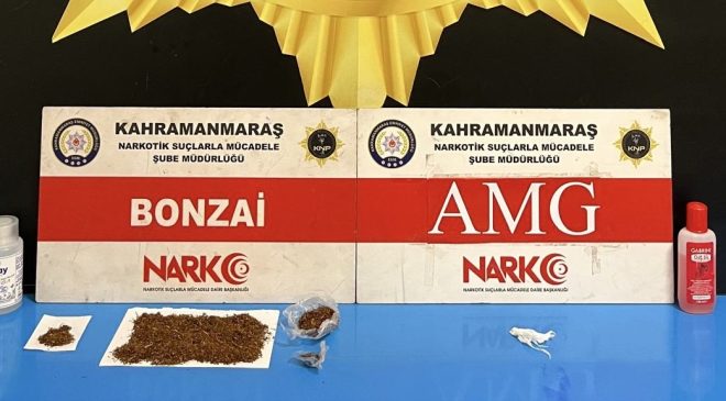 Kahramanmaraş’ta Narkotik Operasyonu: 2 Şüpheli Tutuklandı