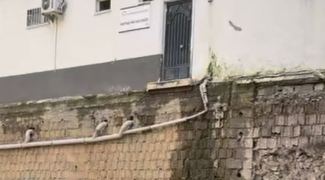 Safa Mescidi Kaderine Terk Edildi: Kapısı Kapalı, Çevresi İnşaat Alanına Döndü