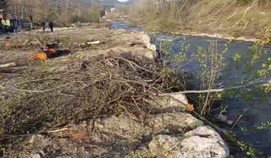 Fırnız Tepkisi Büyüyor: Ünal Ateş’ten Ağaç Kesimi ve Yıkımlara Sert Tepki