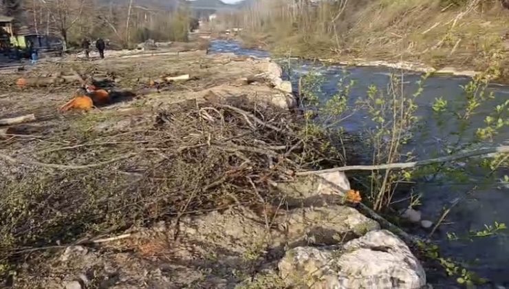 Fırnız Tepkisi Büyüyor: Ünal Ateş’ten Ağaç Kesimi ve Yıkımlara Sert Tepki