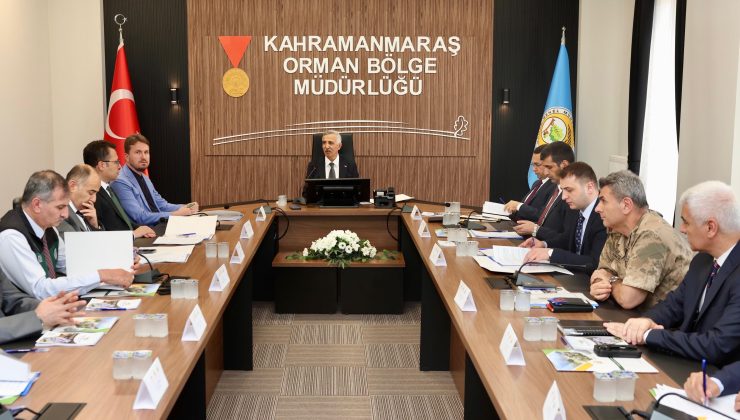 Vali Ünlüer Başkanlığında Orman Yangınlarıyla Mücadele Toplantısı Düzenlendi