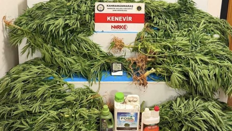 KAHRAMANMARAŞ’TA NARKOTİK OPERASYONLARI: 8 ŞÜPHELİ TUTUKLANDI