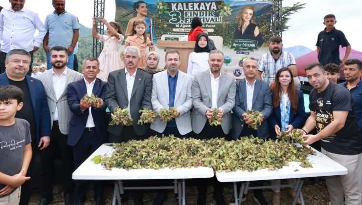 Kalekaya’da Fındık Festivali Coşkusu: Üretim ve Bereket Kutlandı