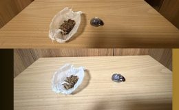 Göksun’da Uyuşturucu Operasyonu: 1 Şüpheli Tutuklandı
